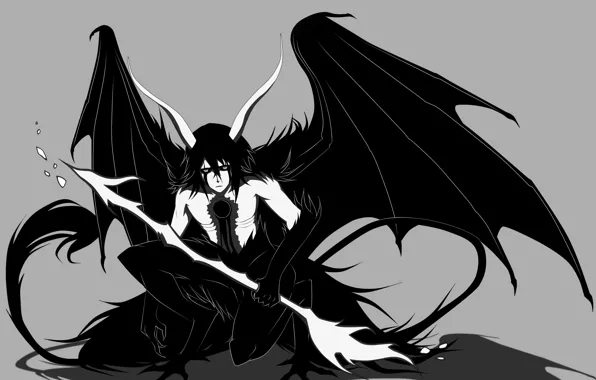 Существо, Bleach, Блич, аранкар, Улькиорра Шиффер