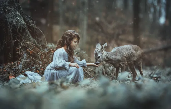 Лес, девочка, олененок, малышка, косуля