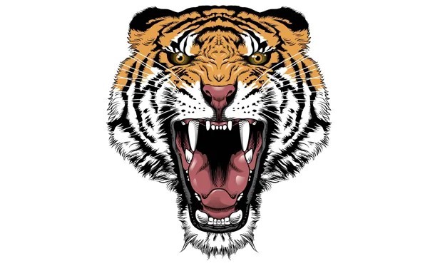 Тигр, минимализм, голова, злой, tiger