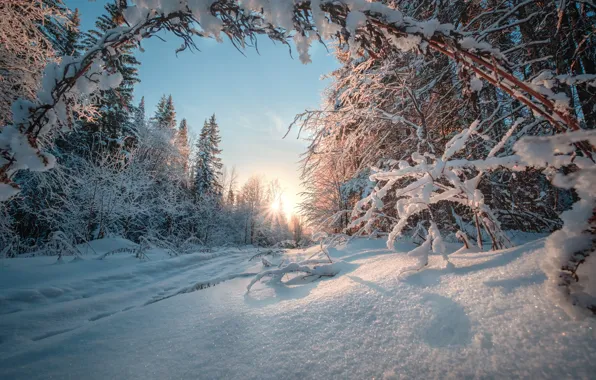 Зима, дорога, лес, снег, Россия, Урал