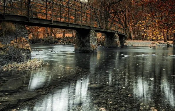 Картинка мост, природа, река