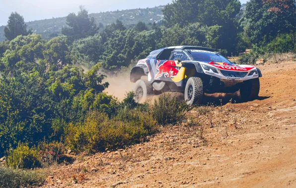 Спорт, Скорость, Поворот, Гонка, Занос, Грязь, Peugeot, Фары