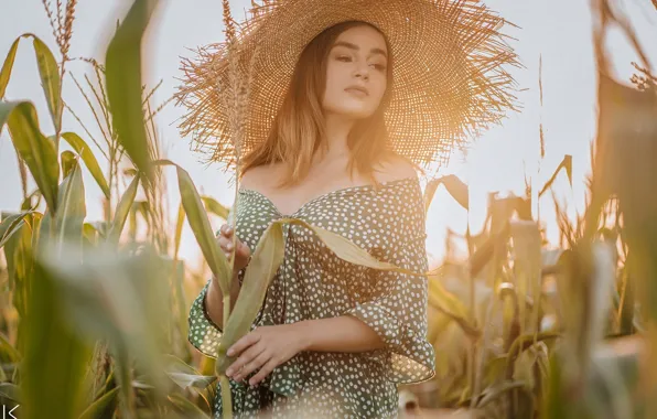 Поле, лето, девушка, поза, шляпа, кукуруза, платье, кукурузное поле