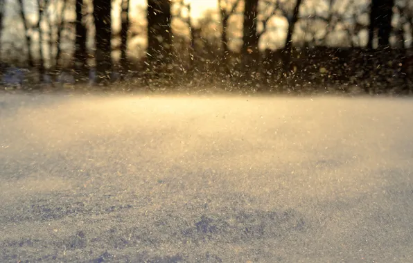 Картинка зима, снег, снежинки, движение, untamed snow