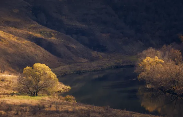 Картинка осень, деревья, пейзаж, природа, река, холмы, кусты, берега