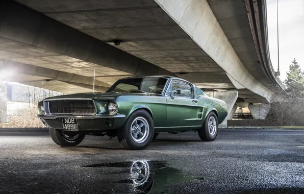 Асфальт, Mustang, Ford, лужи, 1968, GT 390, Bullitt