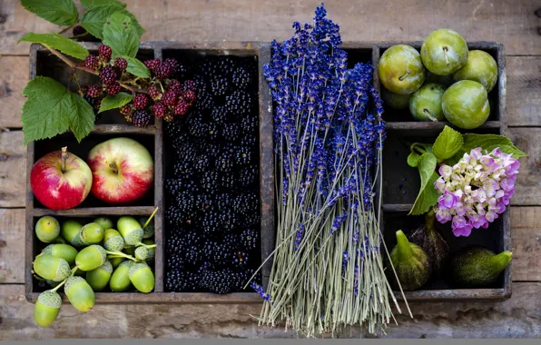 Картинка осень, цветы, ягоды, корзина, яблоки, фрукты, сливы, желуди
