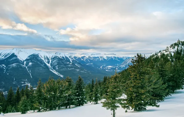 Картинка зима, лес, деревья, горы, природа, Канада