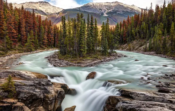Картинка лес, деревья, река, водопад, Канада, Альберта, Alberta, Canada