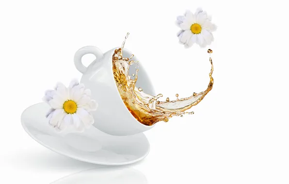 Цветы, брызги, чай, чашка, хризантемы, flowers, Cup, tea