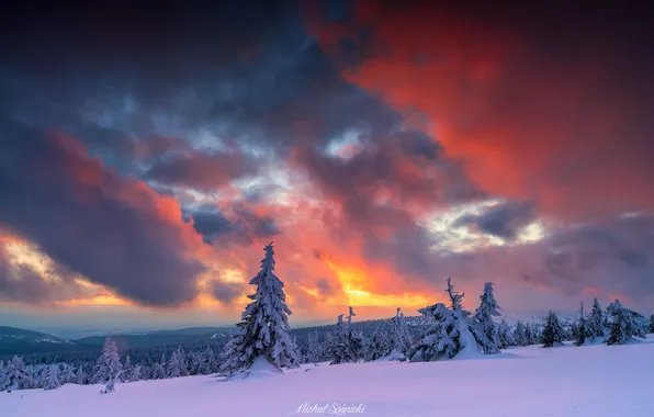 Картинка sky, nature, sunset, wood, winter, tree, amazing, Sośnicki Michał