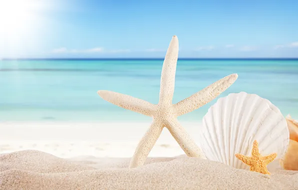 Песок, море, пляж, солнце, звезды, ракушки, summer, sunshine