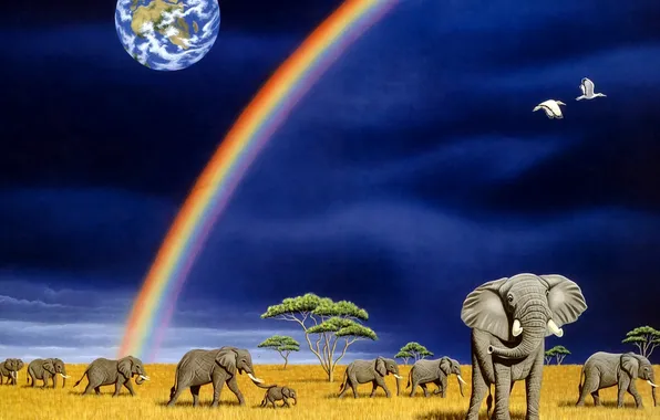 Картинка радуга, арт, Земля, слоны, William Schimmel
