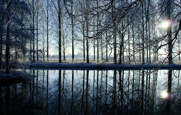 Картинка зима, вода, солнце, снег, закат, ветки, озеро, отражение