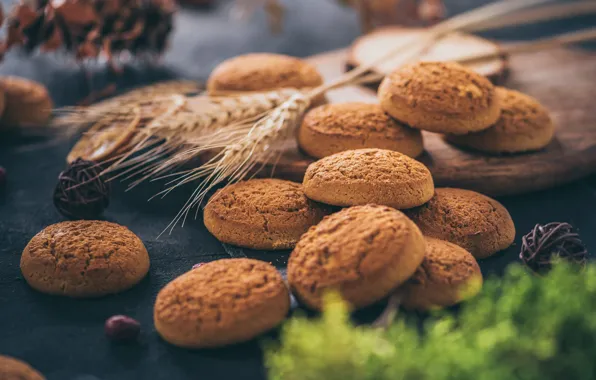 Стол, печенье, колосья, злаки, выпечка, разделочная доска, овсяное печенье, к чаю