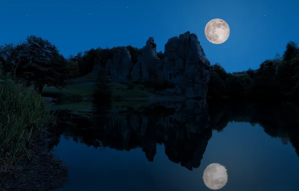Трава, звезды, деревья, пейзаж, ночь, природа, озеро, темнота