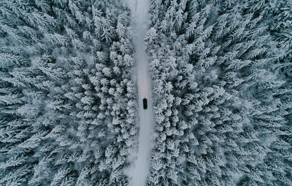 Картинка зима, дорога, машина, лес, снег, деревья, природа, вид сверху