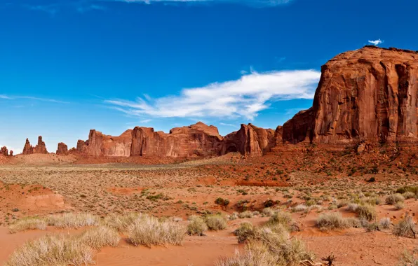 USA, desert, The Great Canyon