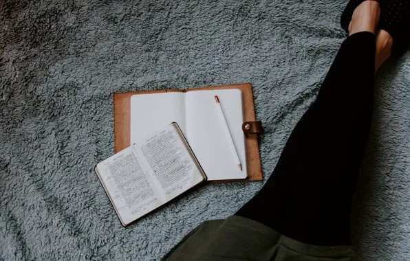 Legs, Christian, Reading, Bible, Ceiling, Holy Bible, Kelly Sikkema