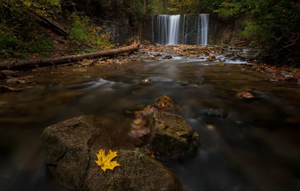 Осень, листья, пейзаж, природа, камни, водопад, поток