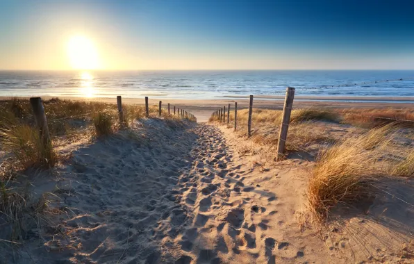 Beach, sunset, sand, footsteps