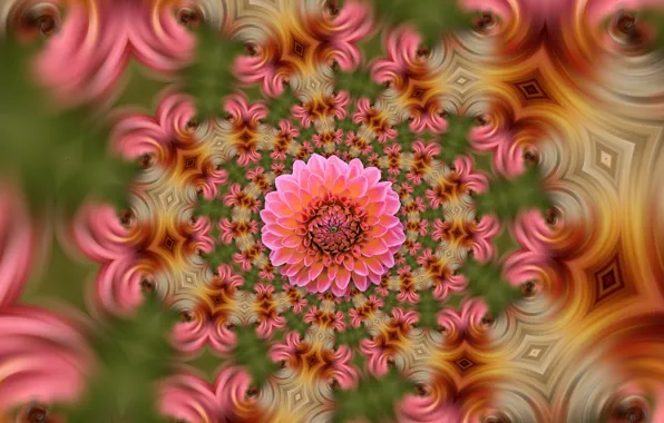 Картинка цветы, структура, текстура