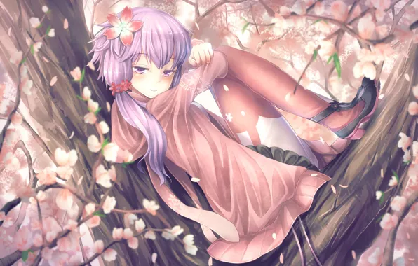 Картинка девушка, цветы, улыбка, дерево, аниме, сакура, арт, vocaloid