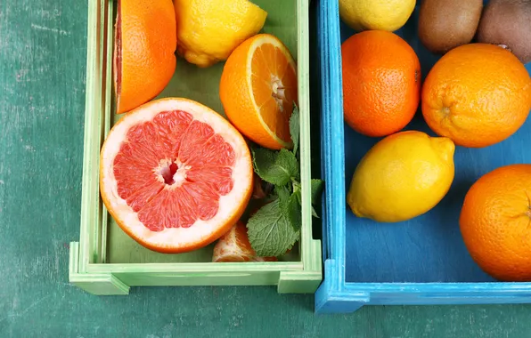Картинка лимон, апельсин, цитрусы, мята, грейпфрут