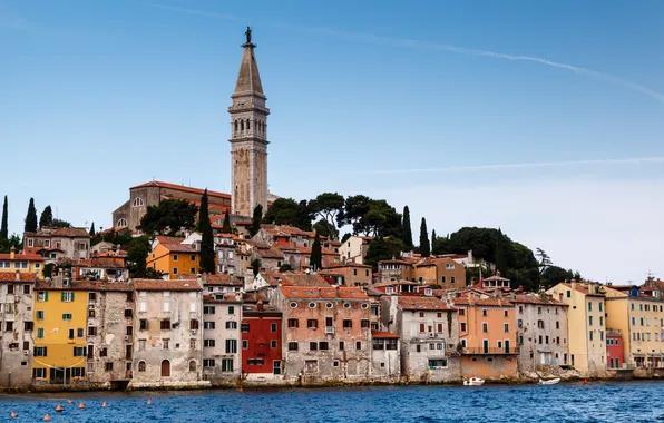 Картинка здания, панорама, собор, Хорватия, Istria, Croatia, Адриатическое море, Ровинь
