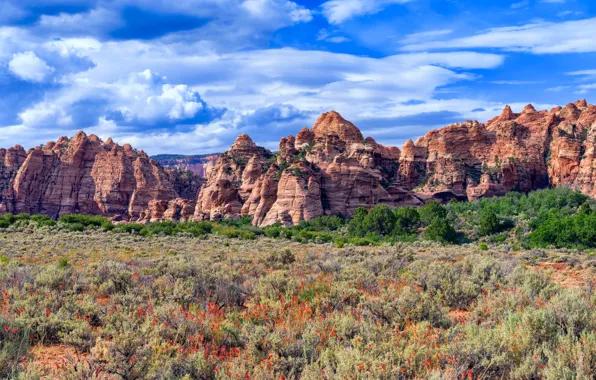 Картинка облака, пейзаж, скалы, Юта, США, Kolob Canyon