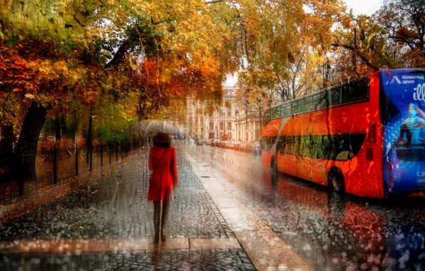 Осень, девушка, дождь, Санкт-петербург, Октябрь