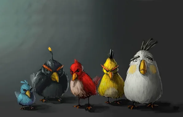 Картинка птицы, минимализм, birds, angry