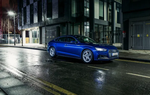 Дорога, ночь, синий, Audi, ауди, улица, TDI, quattro