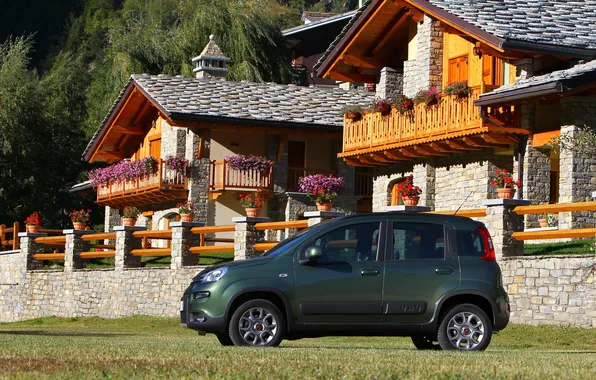 Картинка авто, деревья, машины, дом, поляна, Cars, цветы., Fiat Panda