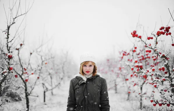Картинка зима, девушка, снег, волосы, яблоки, капот, губы, яблони
