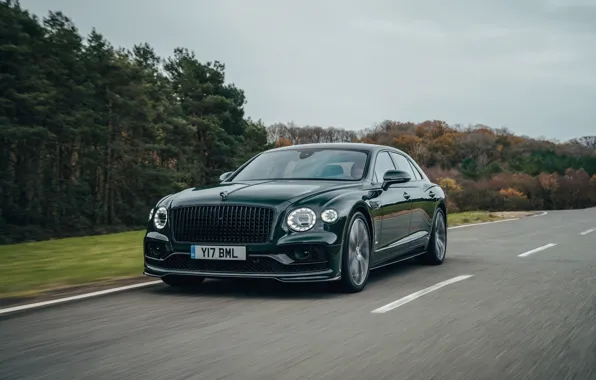 Картинка дорога, деревья, скорость, Bentley, Flying Spur, 2020, V8, 2021