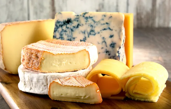 Сыр, плесень, Cheese
