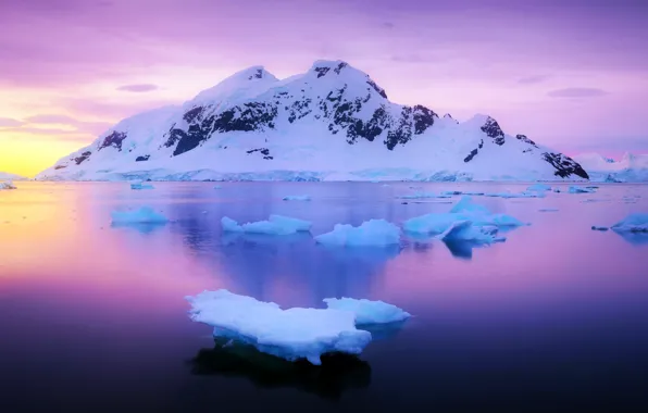 Картинка лед, вода, гора, 2022, День Антарктиды, Райская гавань, Paradise Harbour, Antarctica Day