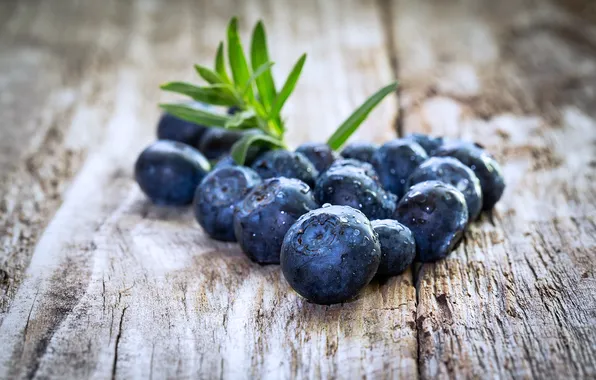 Ягоды, черника, fresh, blueberry, голубика, berries