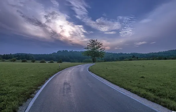 Дорога, поле, пейзаж