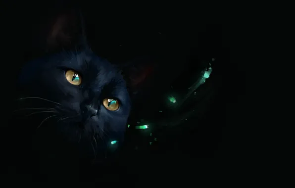 Огоньки, черная кошка, by SalamanDra-S