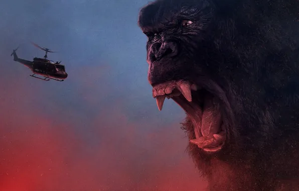 Картинка King Kong, cinema, movie, gorilla, fang, film, angry, strong
