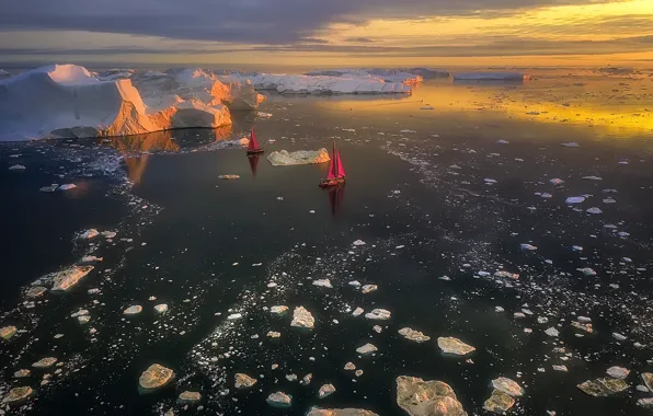 Greenland, Avannaata, Pitorqeq, Sailing in the Ice & Fire