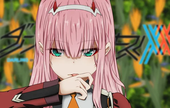 Взгляд, Darling In The Frankxx, Милый во Франксе, Zero Two