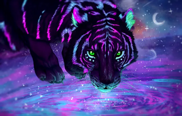 Взгляд, звезды, свет, ночь, тигр, красота, хищник, месяц