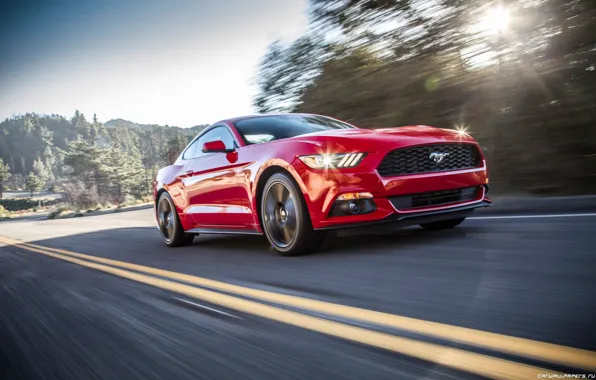 Дорога, машина, авто, деревья, Mustang, Ford, Car, 2015