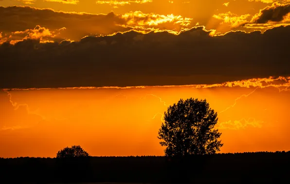 Wallpaper, summer, landscape, sunset, clouds, three