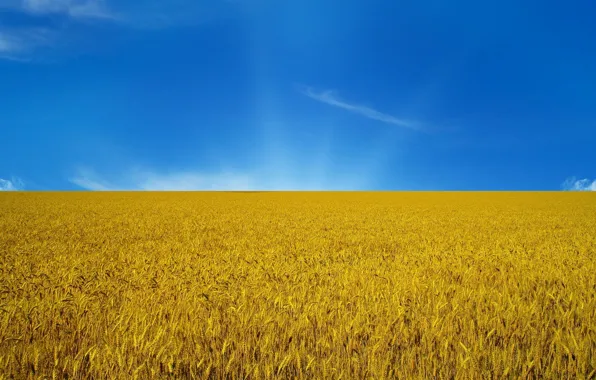Небо, флаг, Украина, flag
