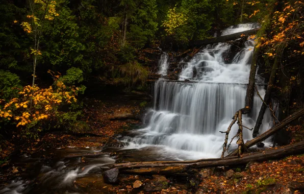 Картинка осень, лес, водопад, Мичиган, каскад, Michigan, Wagner Falls, Водопад Вагнер