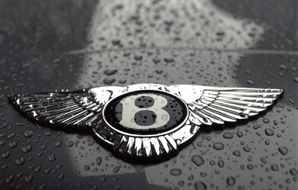 Капли, черно-белая, Bentley, логотип